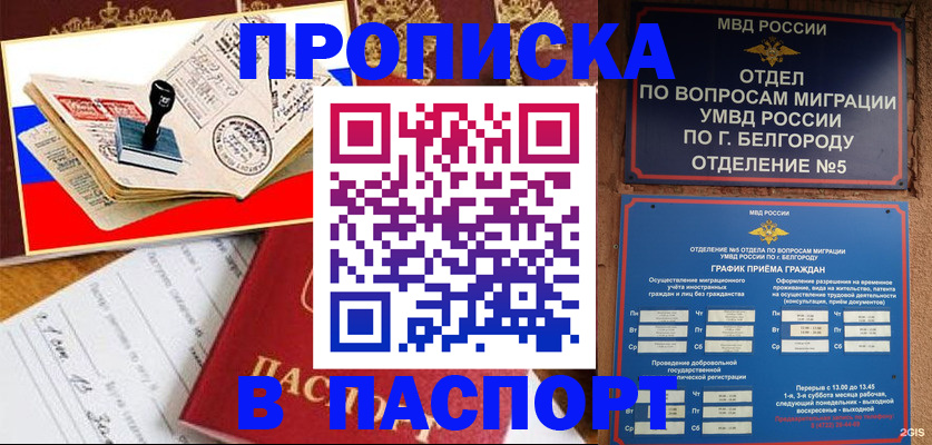 купить прописку в Касимове